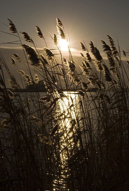 Осенний рассвет фото превью