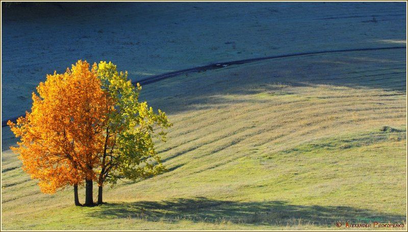 Контрасты. фото превью