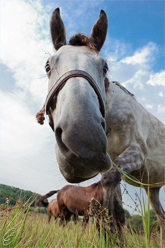 Женя, где ты был? фото превью