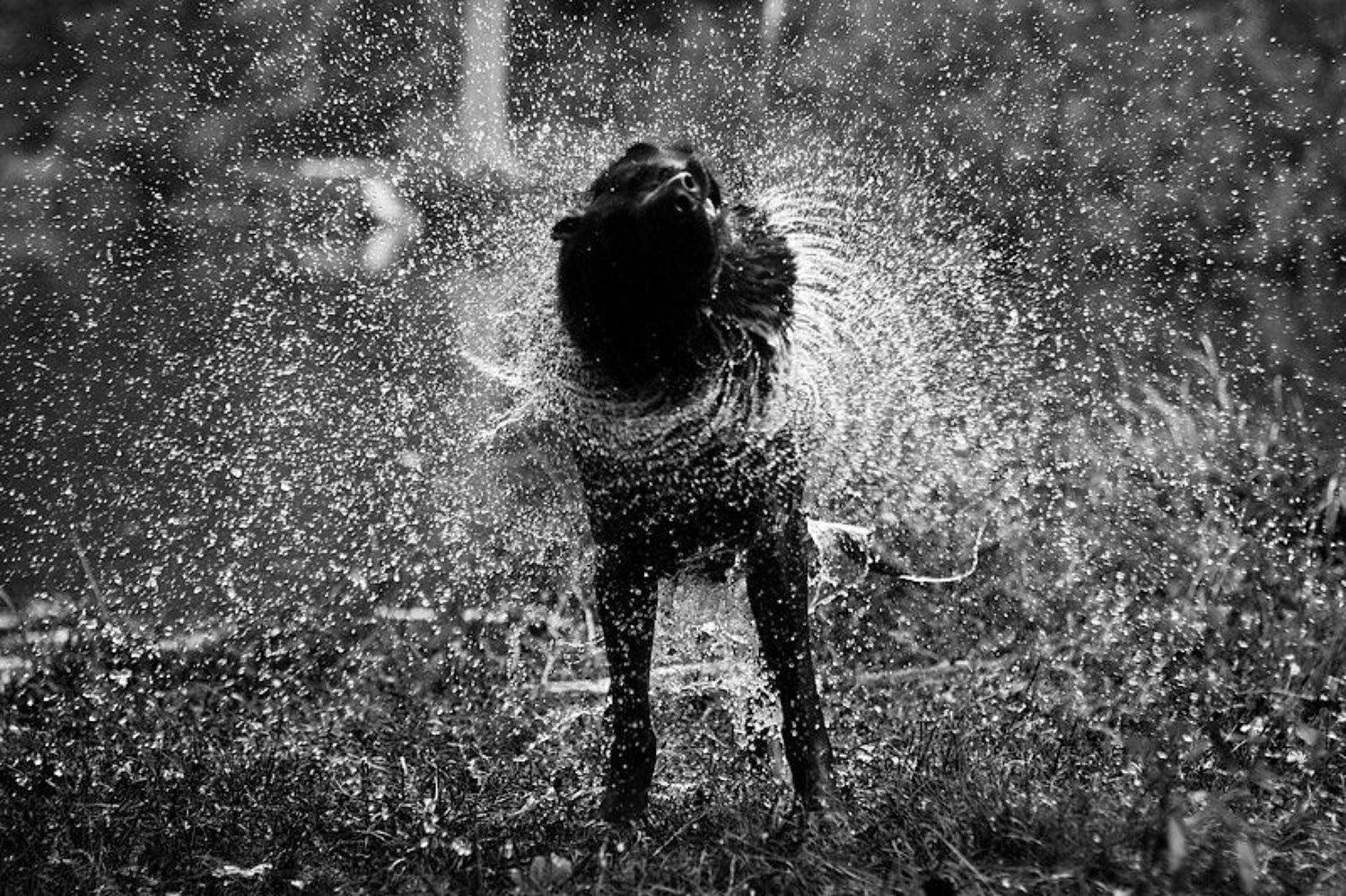 , Алексей Иванов