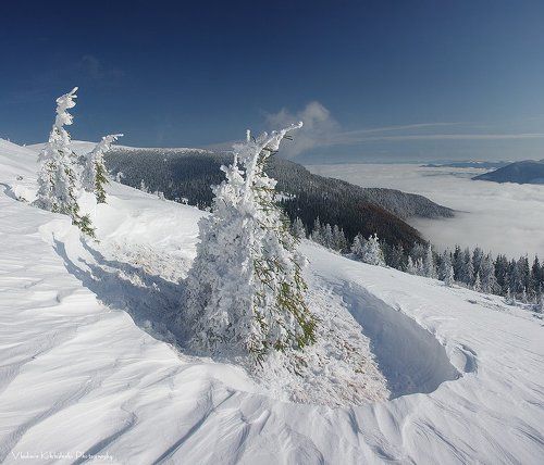 Зимние наряды