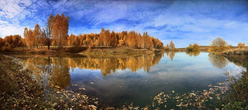 Хорошо иметь прудик в деревне... фото превью