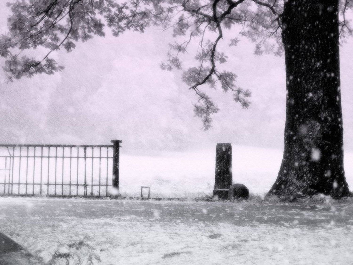 , Viktor Kalechenkov