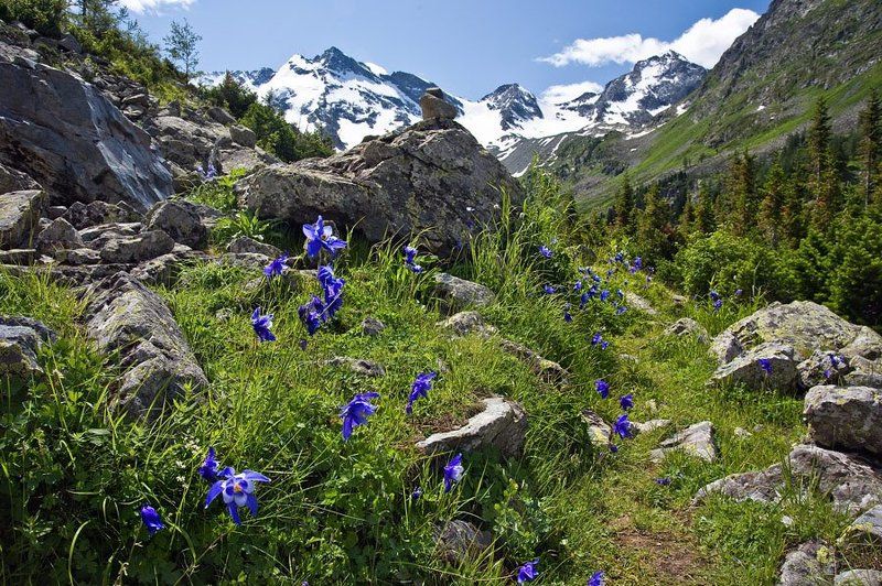 алтай,  долина верхн. мультинского озера (поперечное) *** фото превью