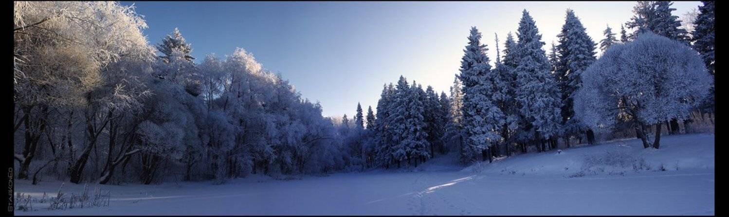 , Константин Стародубцев