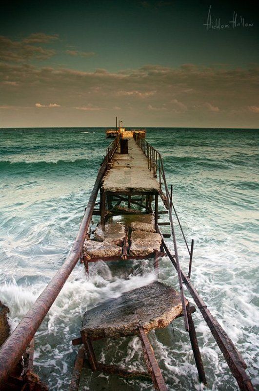 Bridge of Life фото превью