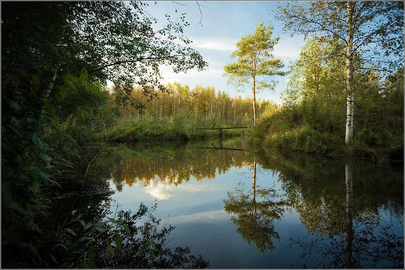 банальный летний пейзаж фото превью