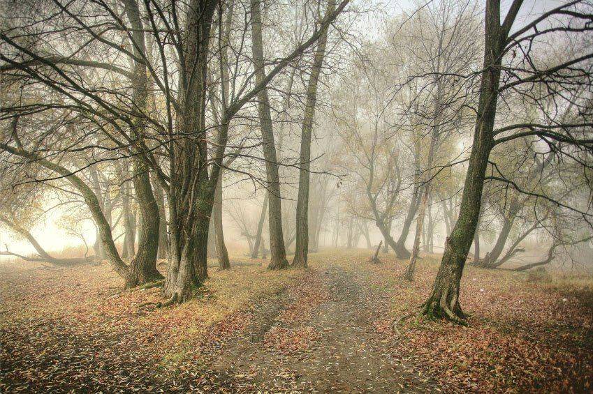 , Эдуард VTORNIK  Николаев