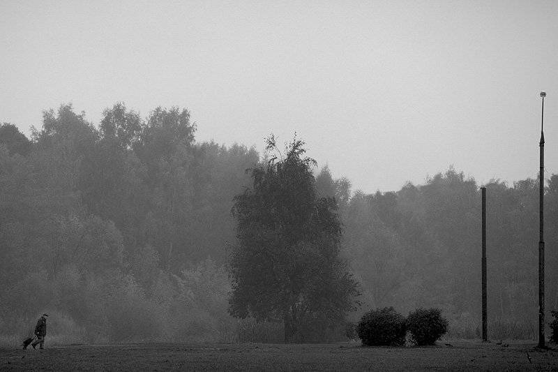 , Максим Юлдашев