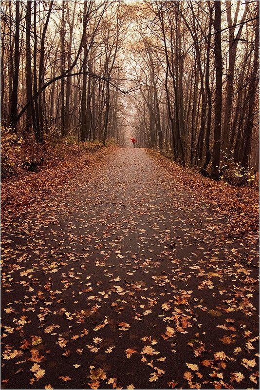 * * * фото превью