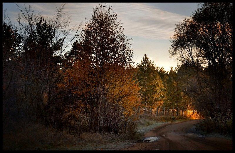 утро, осень, лес, дорога Первые лучи фото превью