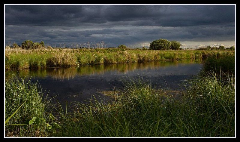 kochkov Ханкайские каналы фото превью
