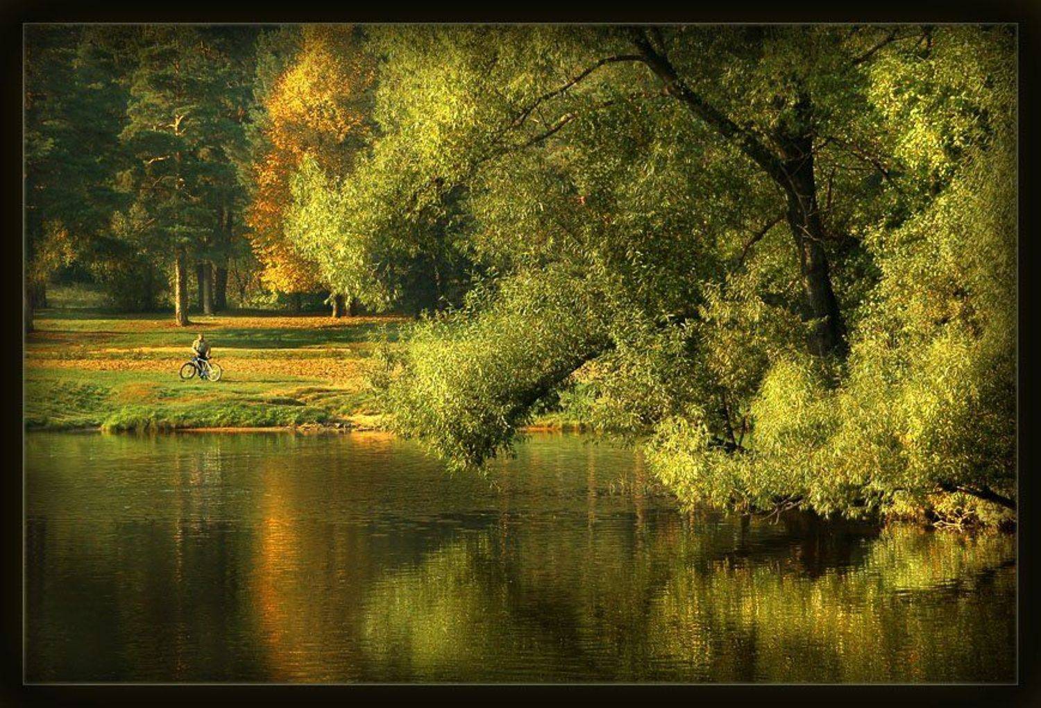 , &bull;**/ASSOL**&bull;