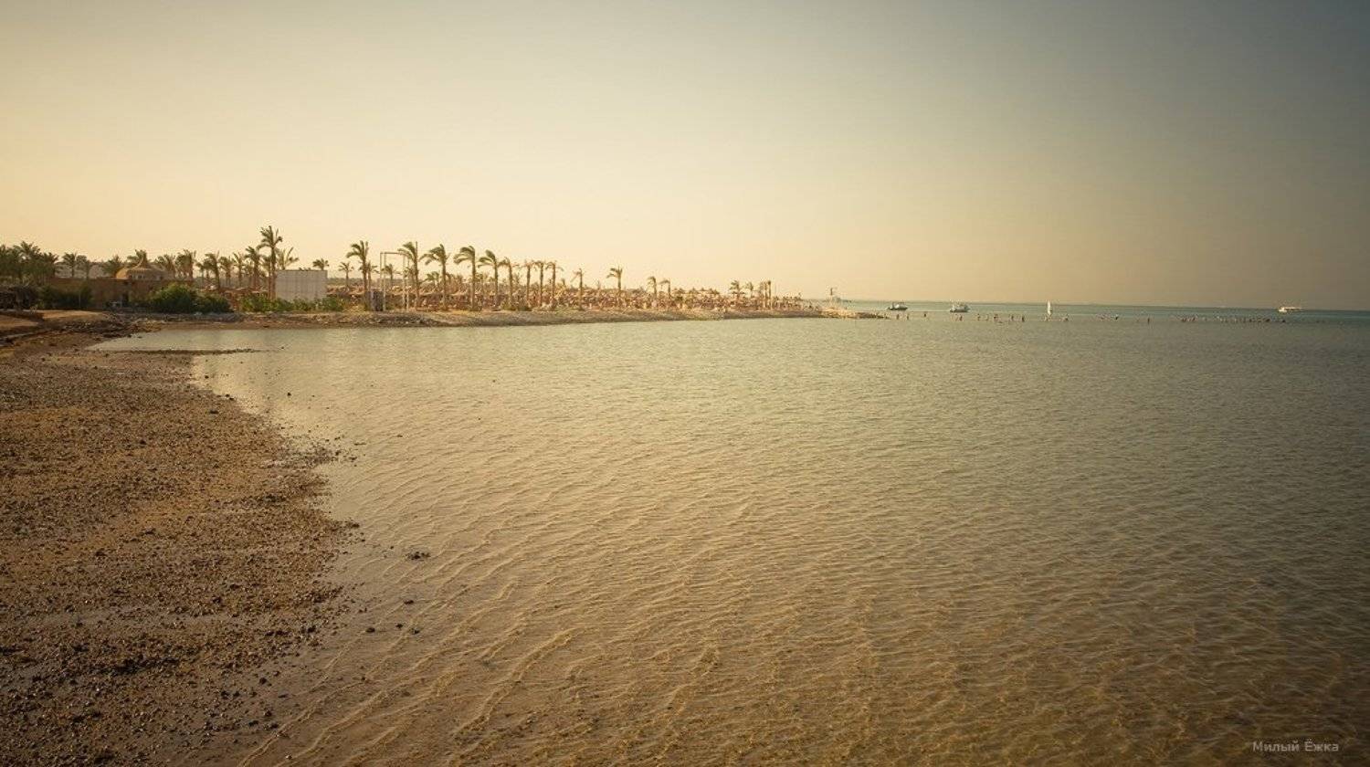 египет, Милый Ёжка