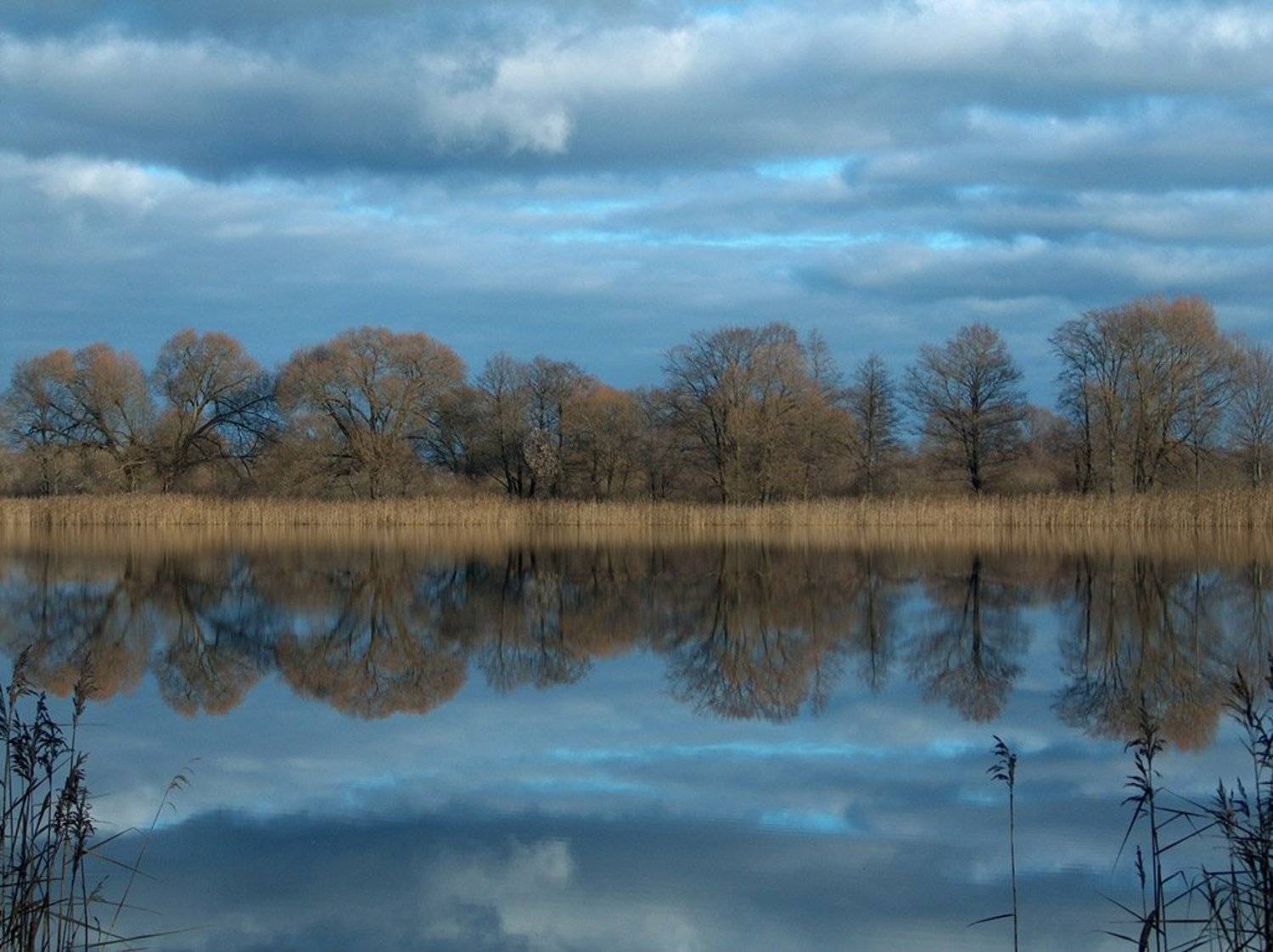 пруд, осень, вода, деревья,  отражения, камышь, облака, Юрий Соколков