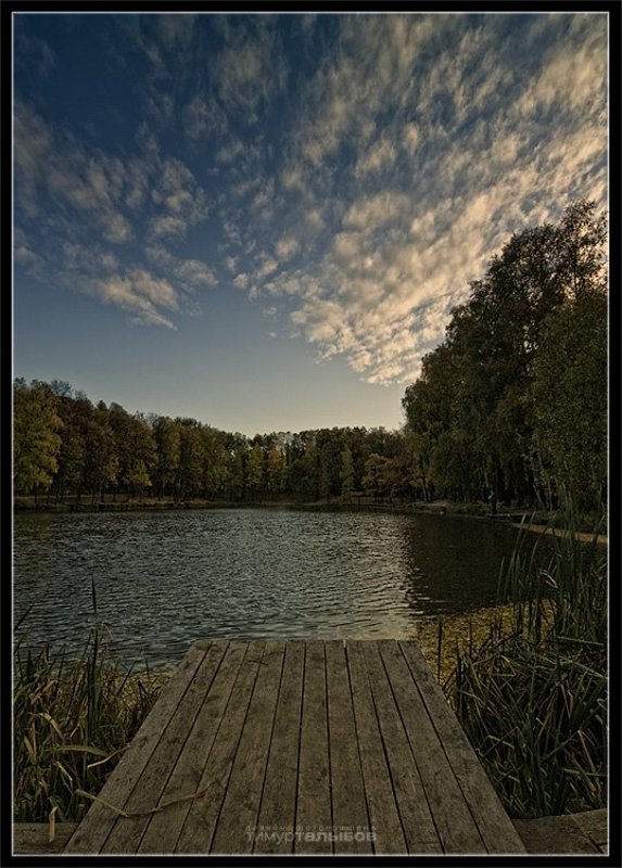 На Узком пруду... фото превью