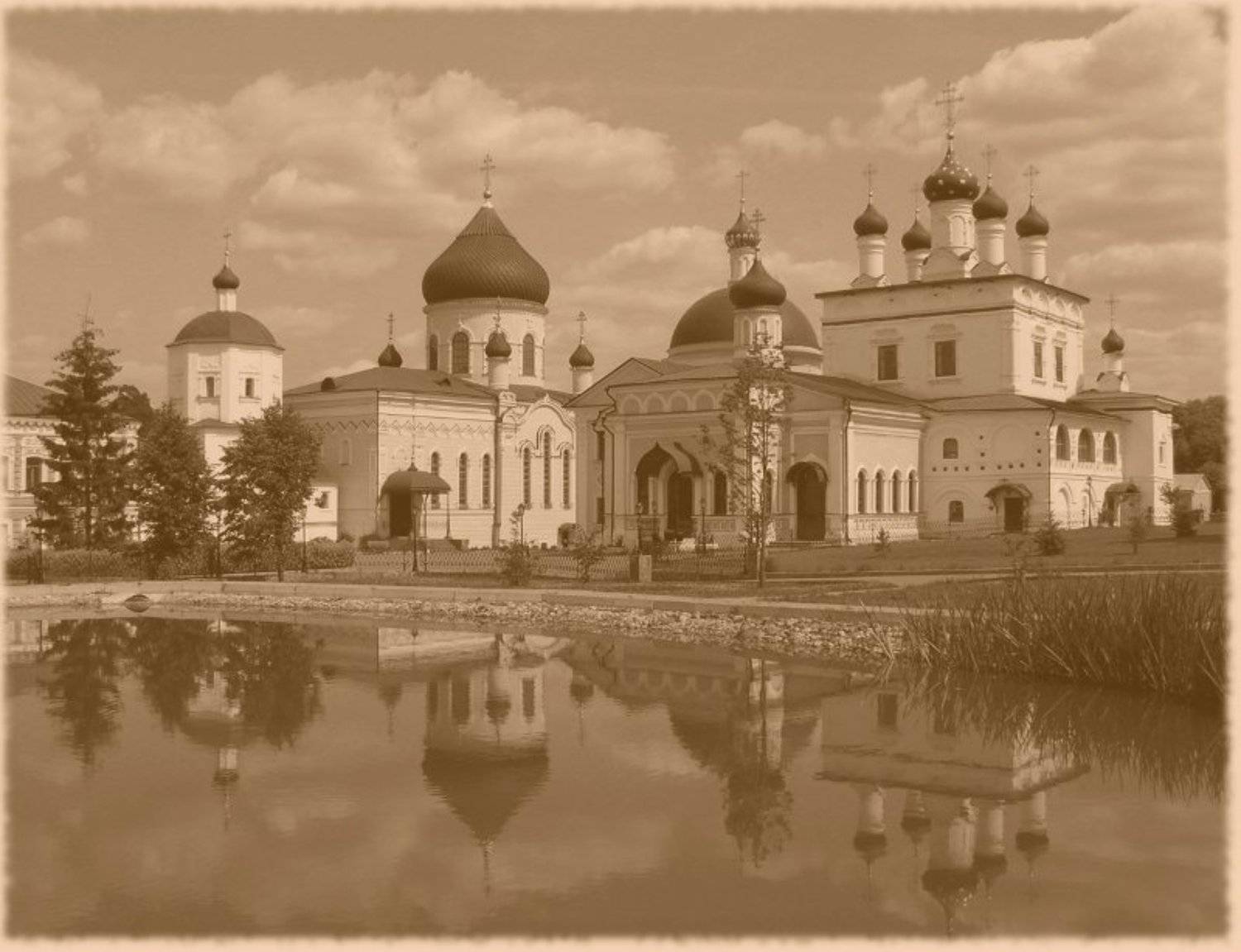 , &bull;**/ASSOL**&bull;