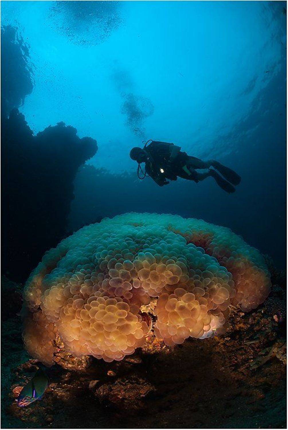 , Сергей Шанин