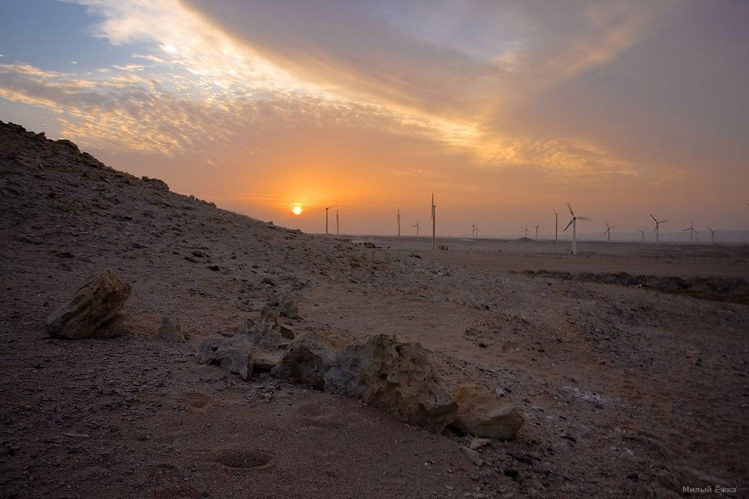 , Милый Ёжка