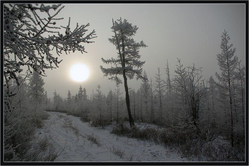 Октябрь Заполярья фото превью