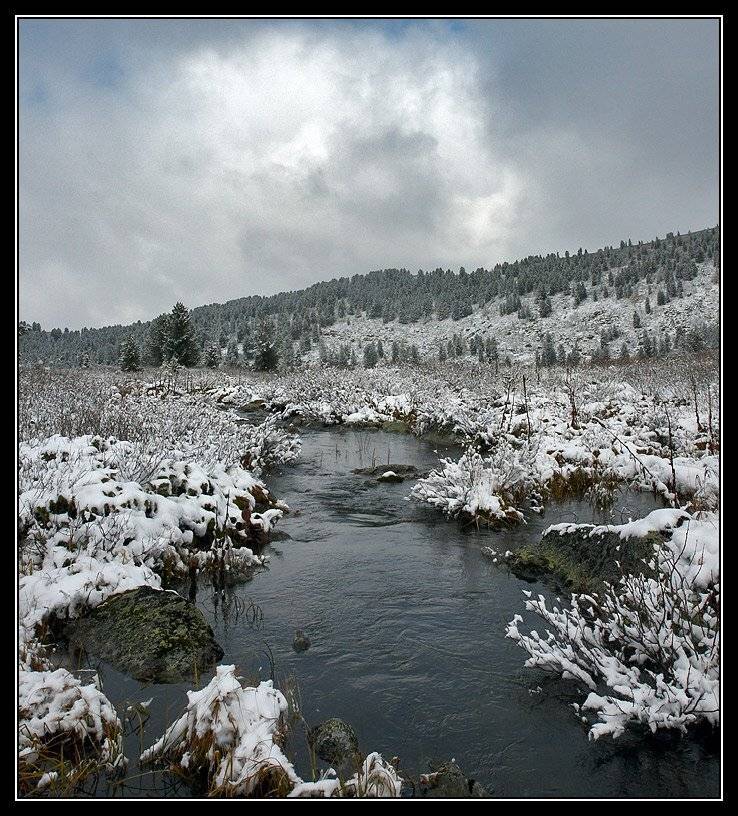 , Юрий Фролов