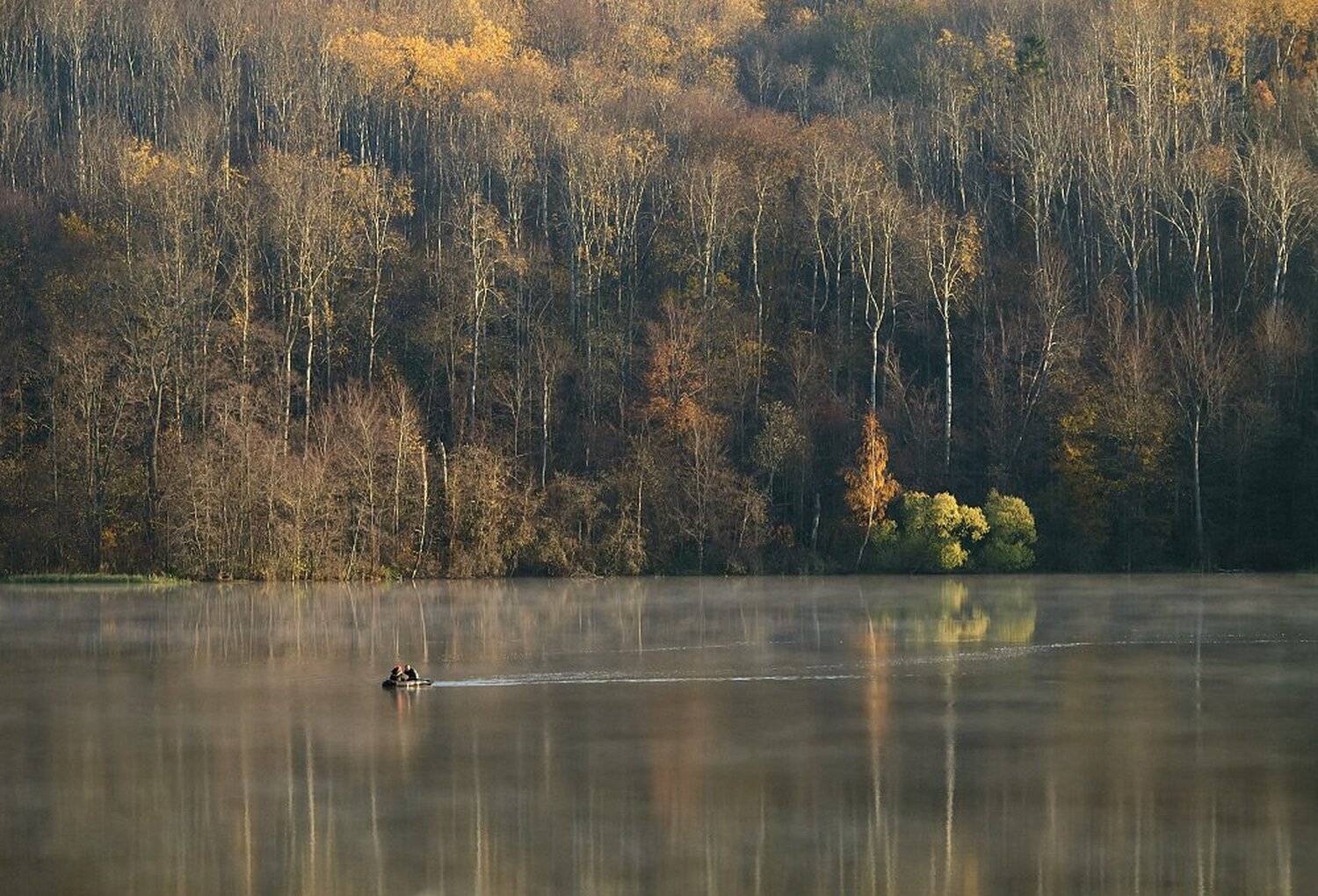 , Максим Евдокимов