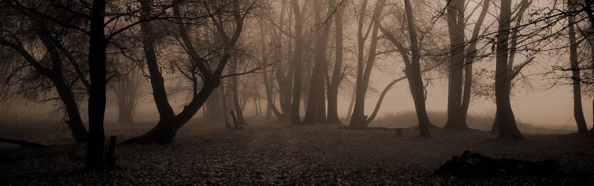 , Эдуард VTORNIK  Николаев