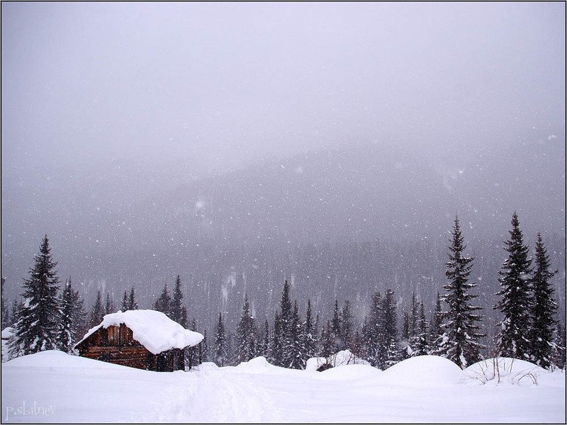 безмолвие фото превью