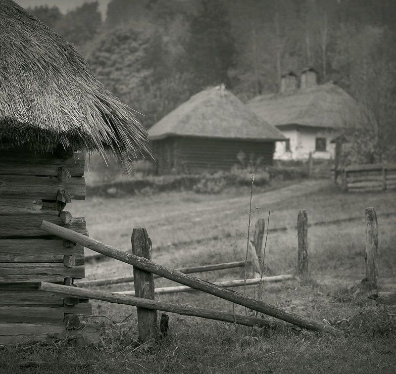 Зарисовки из Пирогово... фото превью