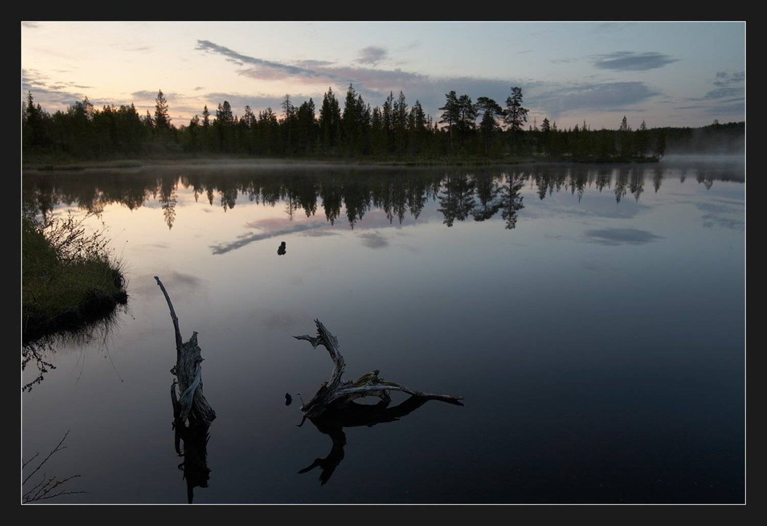 жуткий комарятник, ревда, Alexander Fetisov