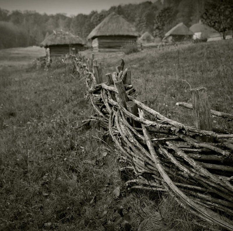 Зарисовки из Пирогово.... фото превью