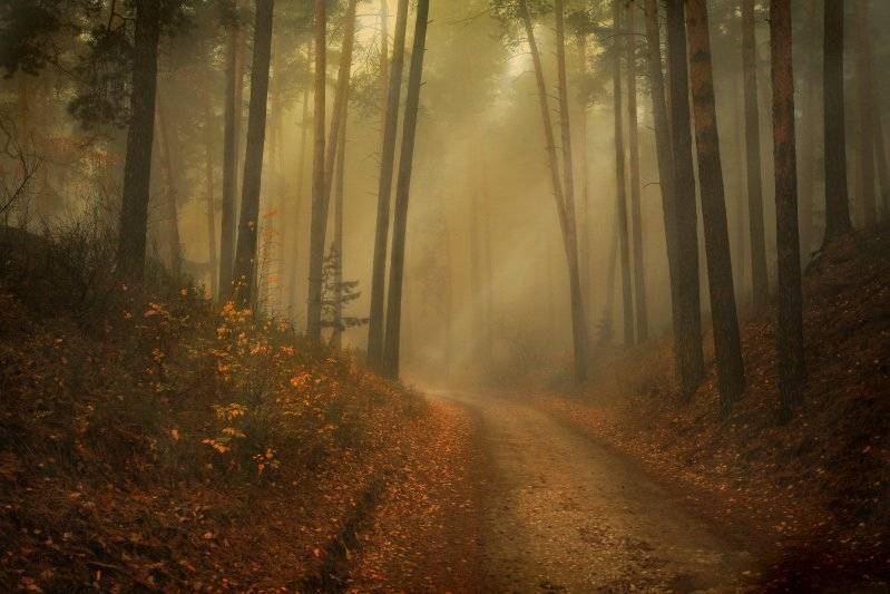 , Эдуард VTORNIK  Николаев