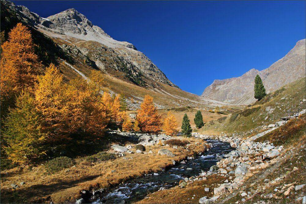 швейцария, alps, swiss, switzerland, Julia Art