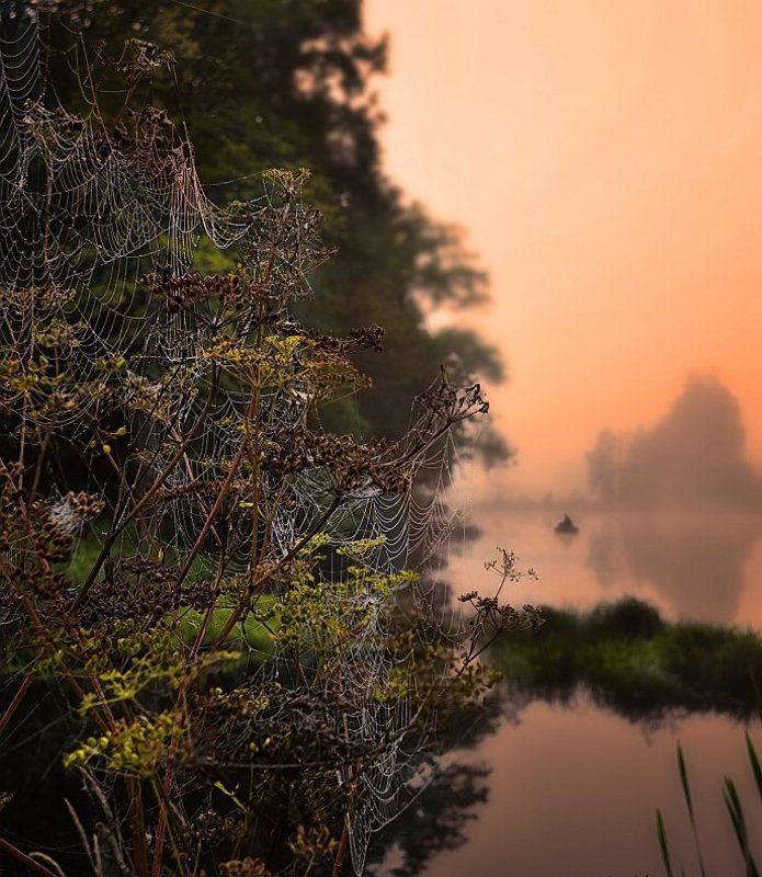*Сети то мы еще вчера поставили...* фото превью