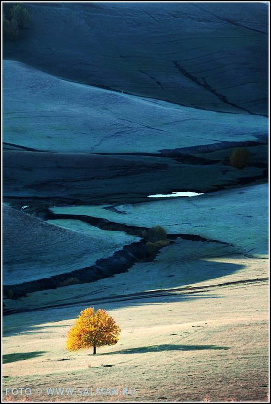 контраст,чатыртау,осень,salman, зима идет фото превью