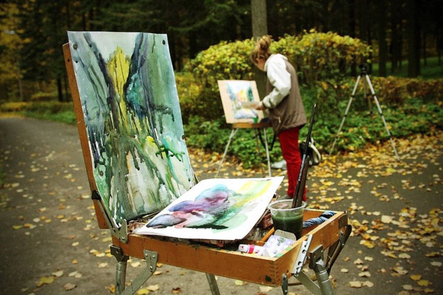 , Илья Закич