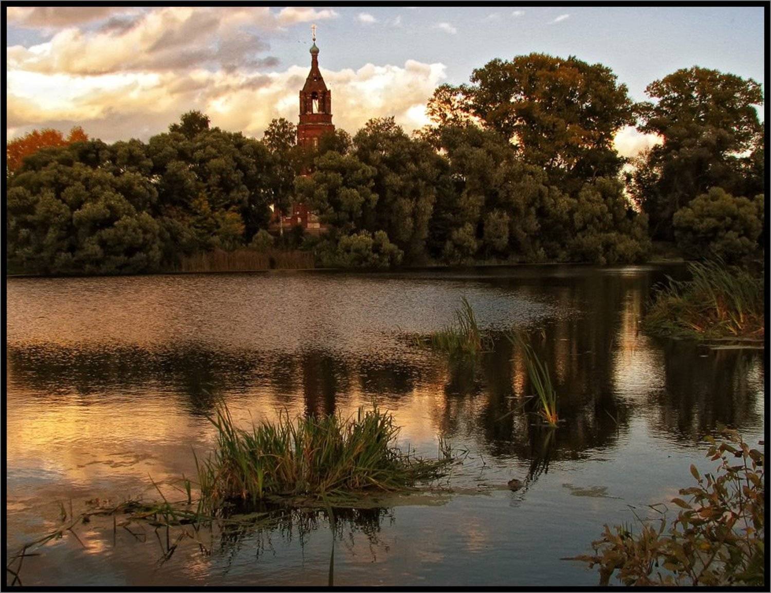 , Лунный Ежик