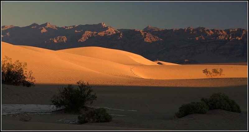 Долгая дорога в дюнах(2) фото превью