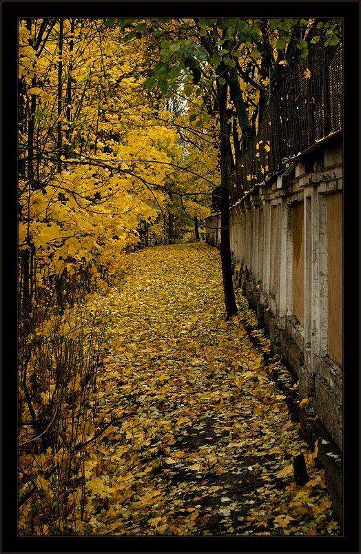 петербург, центр, осень, лавра, Kirill Shapovalov