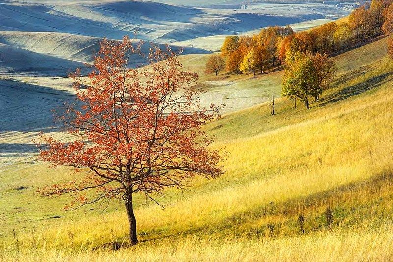 Осень фото превью