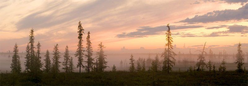 панорама,пейзаж, утро, туман, север, природа, утро фото превью