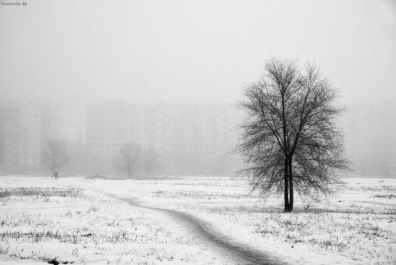 На город опустился туман фото превью