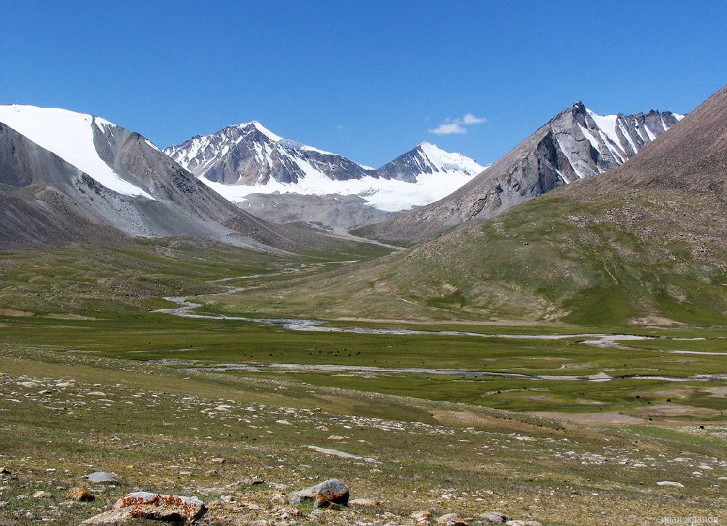 памир, горы, яки,, Иван Жданов