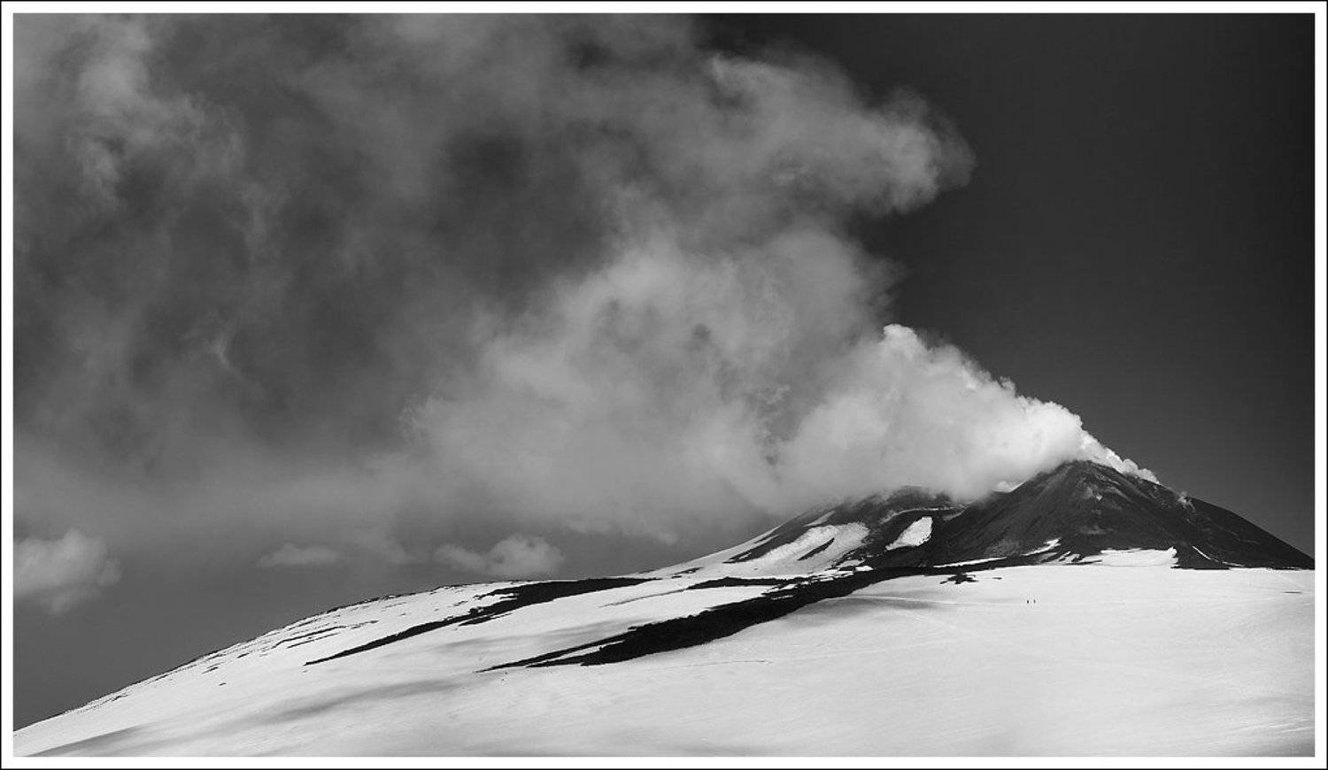 , Светлана Шиблева