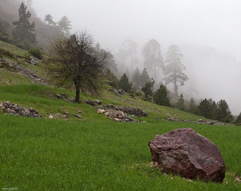 горы, турция, май, туман Погружение в туман фото превью