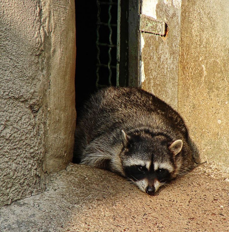 Жизнь уголовная фото превью