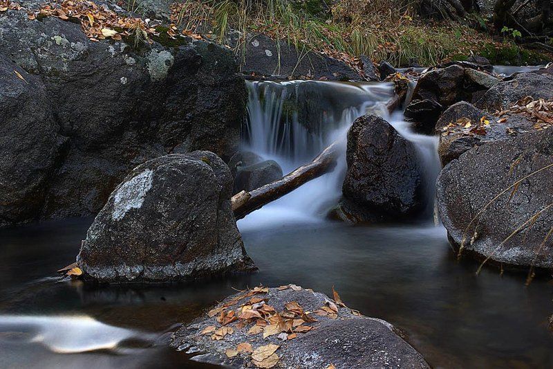 зарисовка фото превью