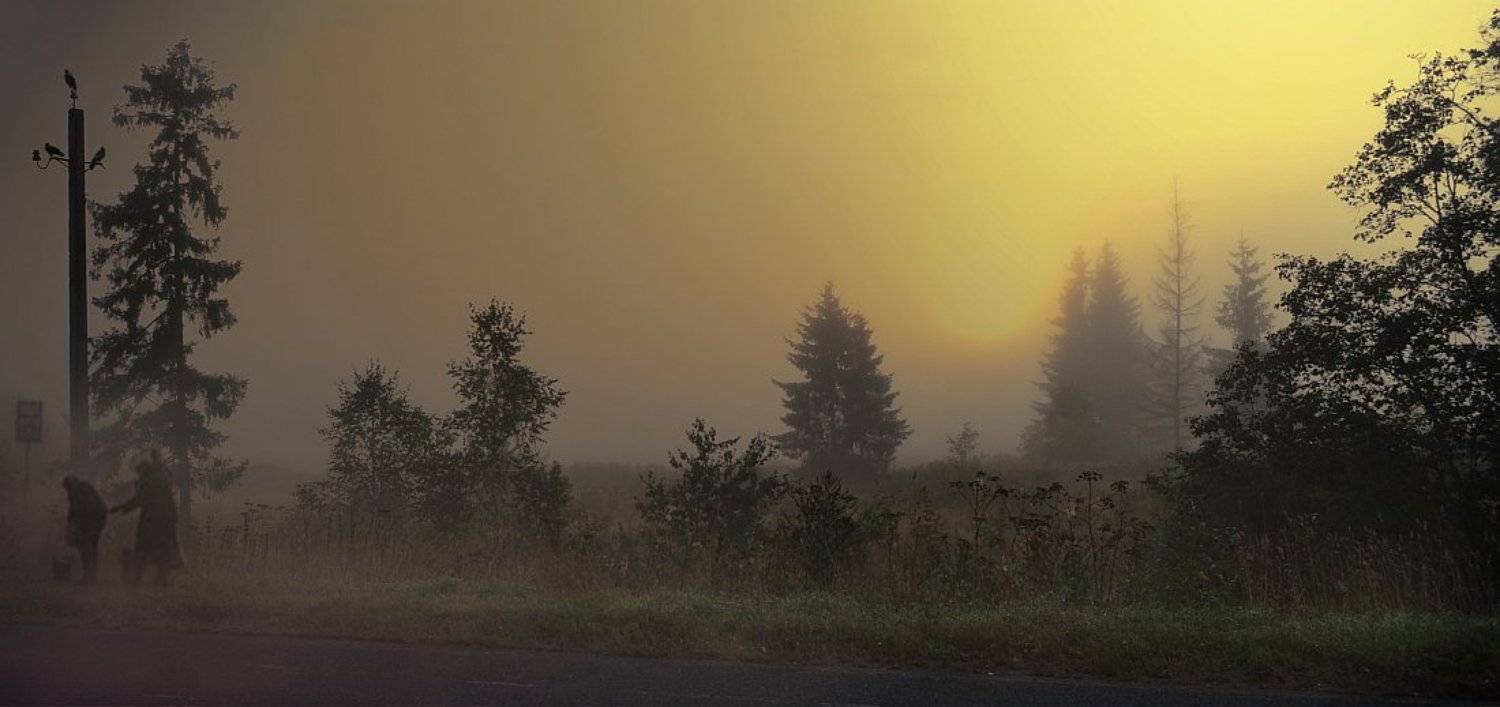 , Алпатов Игорь