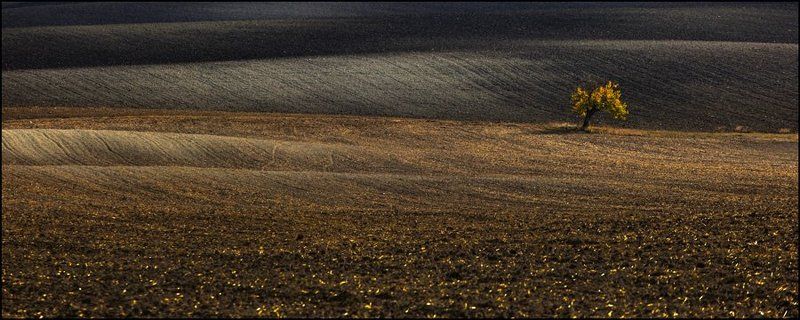 Земля фото превью