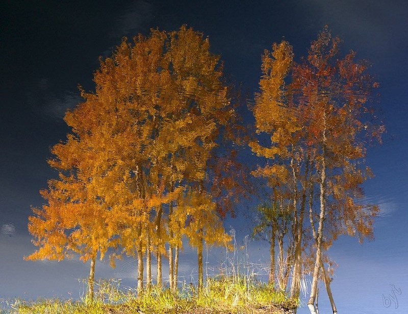 сентябрь, отражение, осень Лишь отражение в воде фото превью